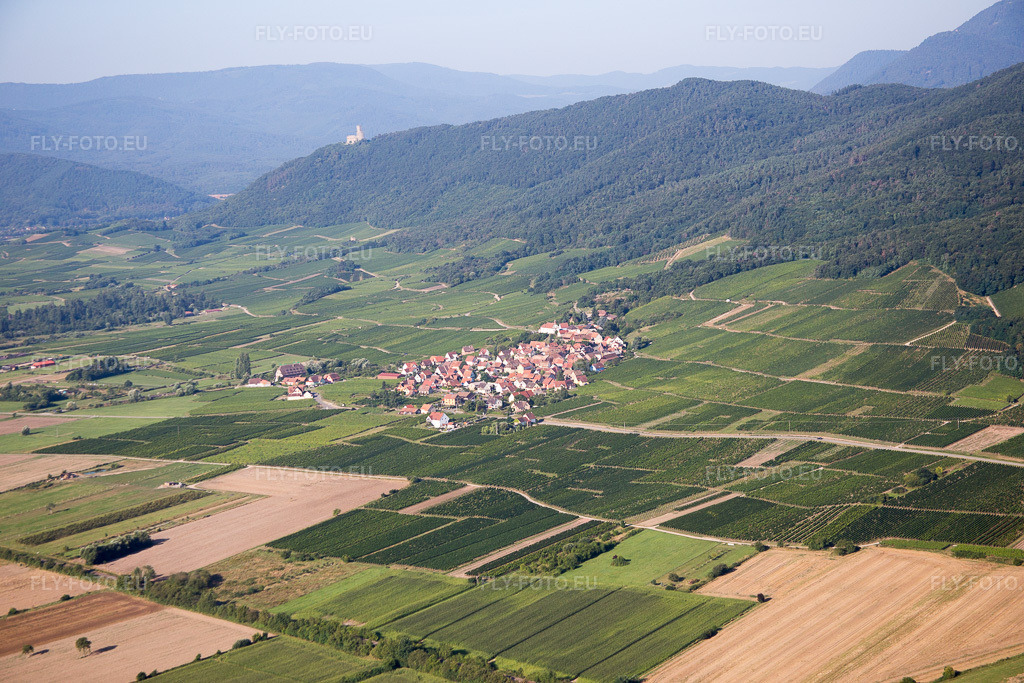 Vue aérienne: Champs agricoles et terres arables à Dieffenthal dans le département Bas Rhin, France. Photo: IMG_093264.jpg prise le 16/08/2016 par Werner Riehm/FLY-FOTO.eu – Résolution de l'original: 5472 x 3648 px
