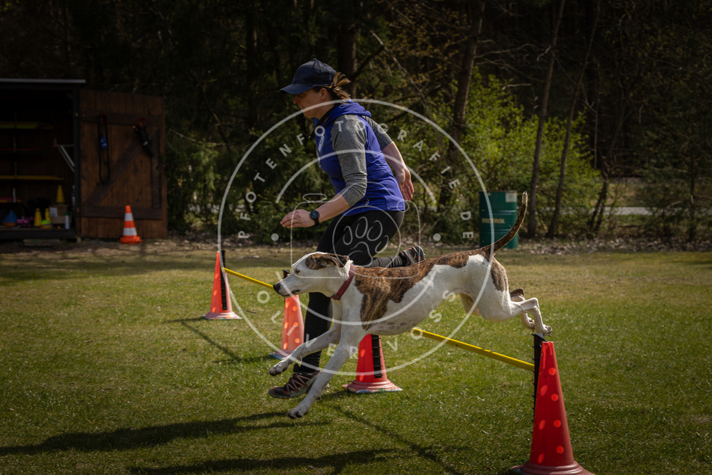 Pfotenfotografie_DV3A3789 | Hundefotografie, Tierfotograf, Pfotenfotografie, Fotoshooting Hund, Hunde Portrait, Hundesport, Hundeportraits, Heideshooting, Hunde, Sportfotograf, Hundefotograf, Turnierhundsport, THS,  - Realisiert mit Pictrs.com
