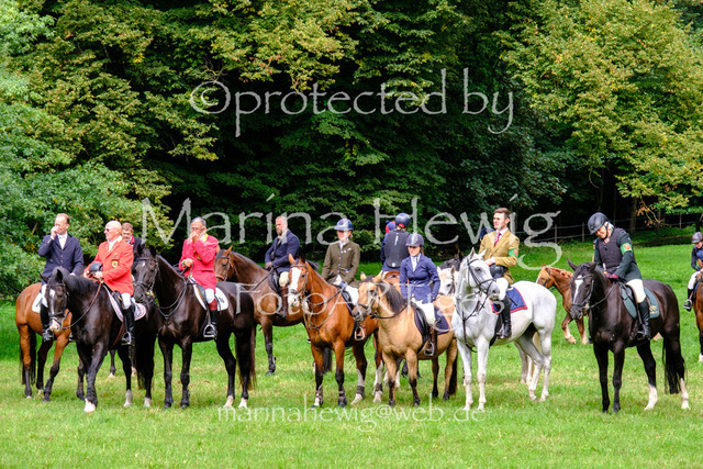 Jagd Perdoel 26 Fuji-9764_MarinaHewig | Fotografie, FotoArt, PferdesportArt, Pferdesportfotografie, Landschaftsfotografie, Reisefotografie, Reise, Pferde - Realisiert mit Pictrs.com