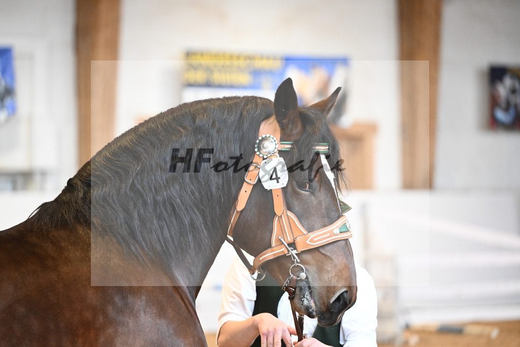 Kat-Nr. 4 v. Rubino I_Mitterer_6240023 | hf-fotografie - Realisiert mit Pictrs.com