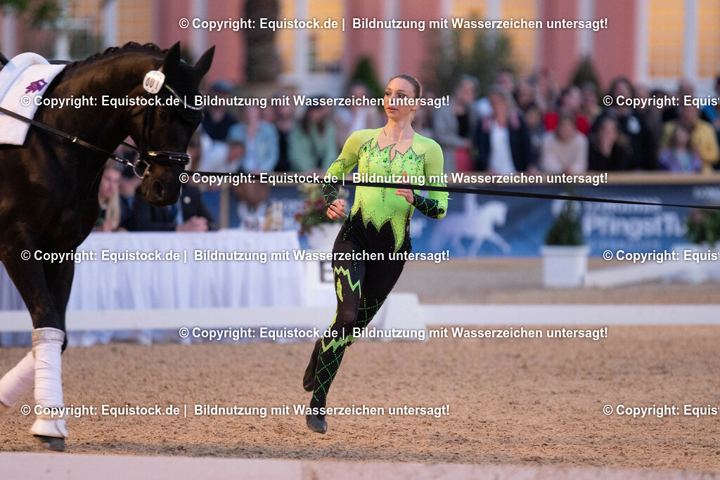 20230527_Voltigieren_NASPA_Flutlicht_0377 | equistock