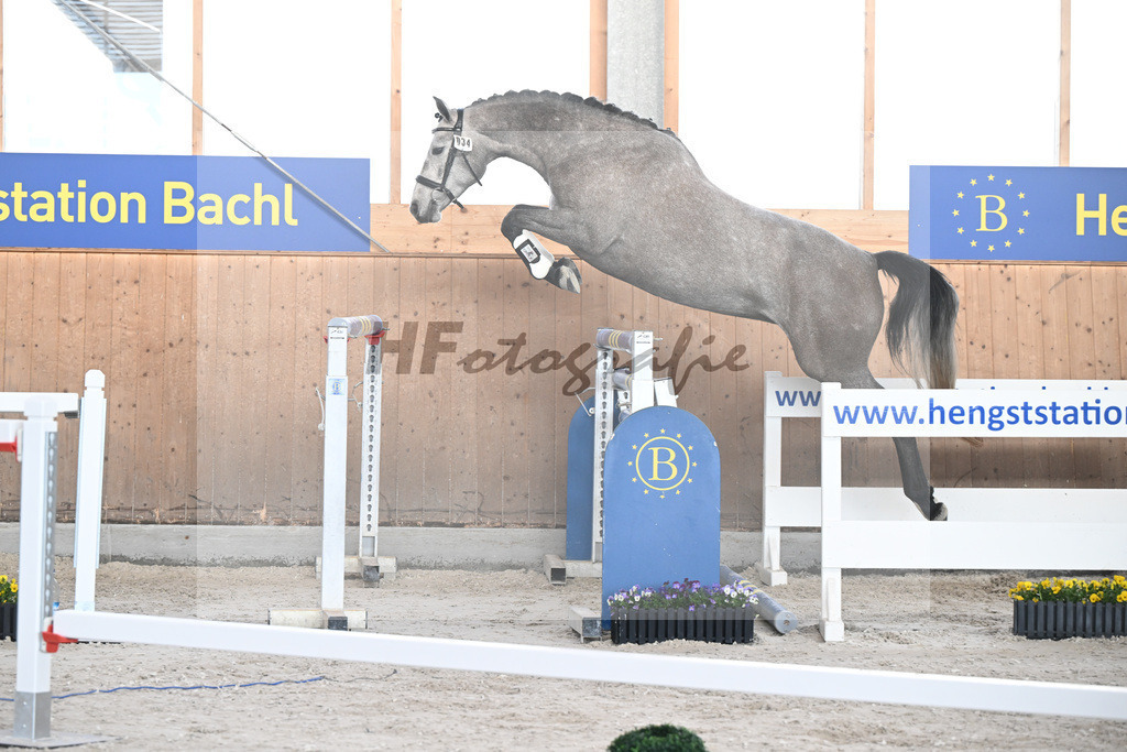 Kat-Nr. 34 Kalea v. Vingino_Bachl_5250682 | hf-fotografie - Realisiert mit Pictrs.com