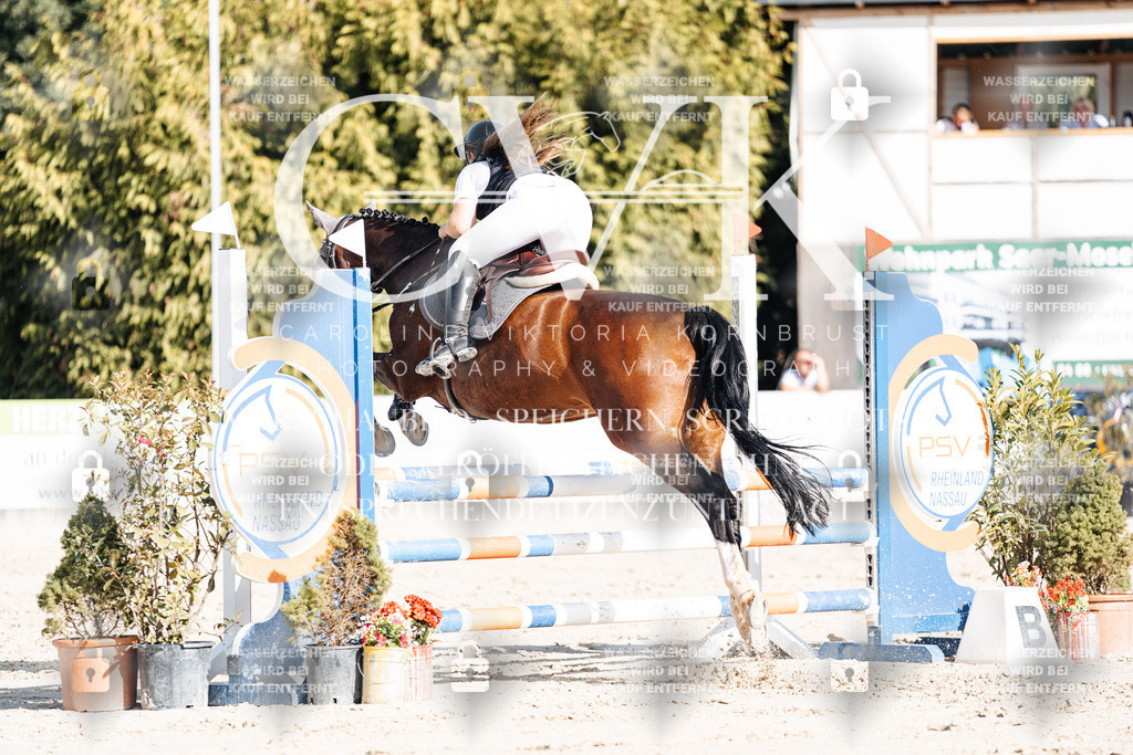 CK909299 | Turnierfotografie Pferdefotografie Trier Rheinland-Pfalz Pferdesport Reitsport Tierfotografie Sportfotografie Pferdevideo Pferdevideografie Equestrianvideography equestrianphotography  - Realisiert mit Pictrs.com