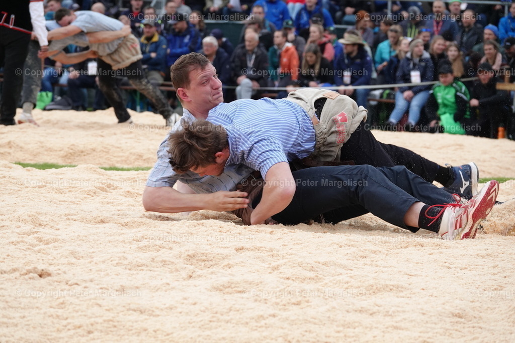 DSC03793 | Schwingen - Realisiert mit Pictrs.com