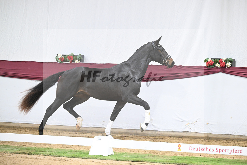 Kat-Nr. 31 In My Mind x Fidertanz_Uwe Kraft_47251055 | hf-fotografie - Realisiert mit Pictrs.com