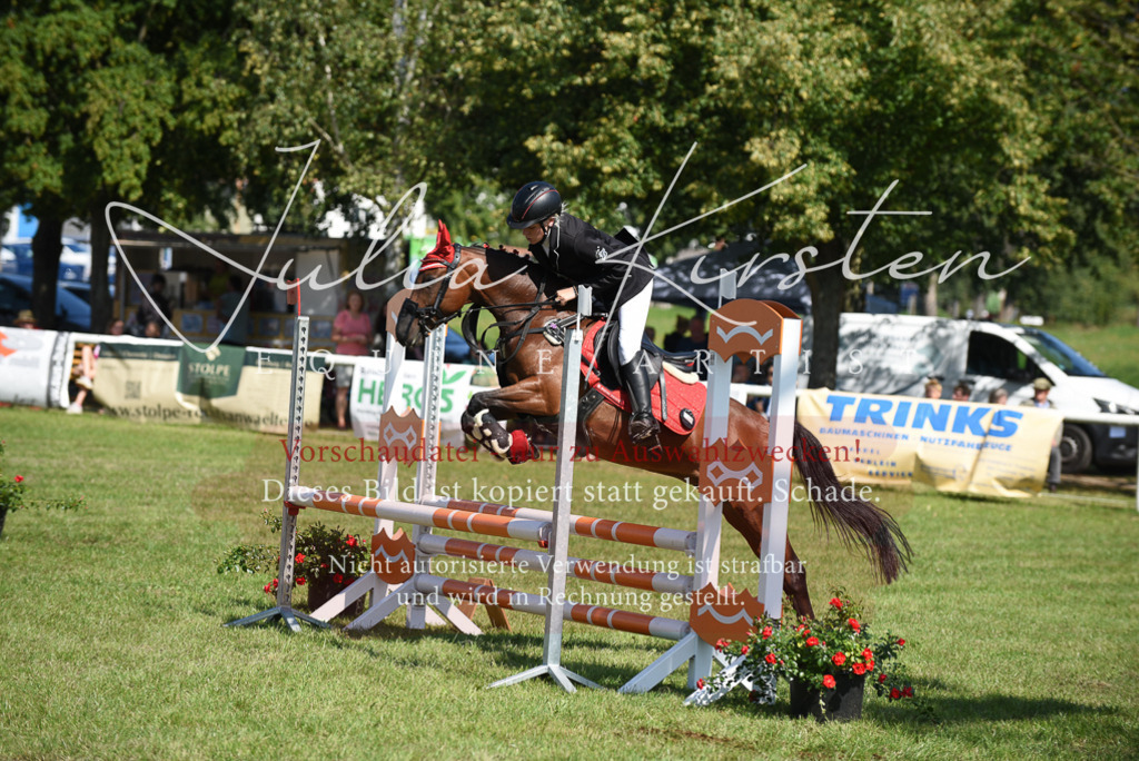 DSC_9273 | Pferde- und Turnierfotografie in Westsachsen. Pferdeportraits, Auftragszeichnungen und intuitive Kunst.