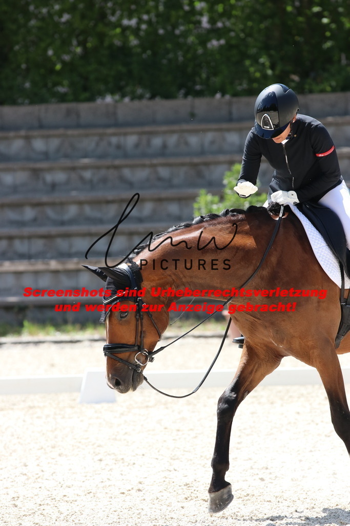 IMG_5042 | lmwpictures - Realisiert mit Pictrs.com