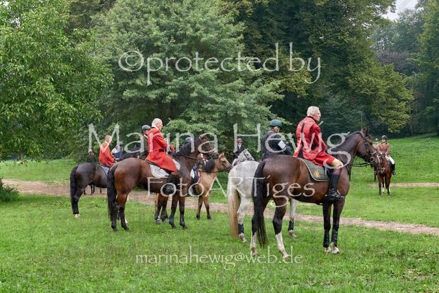 09-23 JAgd PerdölDSC01997_Marina Hewig | Fotografie, FotoArt, PferdesportArt, Pferdesportfotografie, Landschaftsfotografie, Reisefotografie, Reise, Pferde - Realisiert mit Pictrs.com