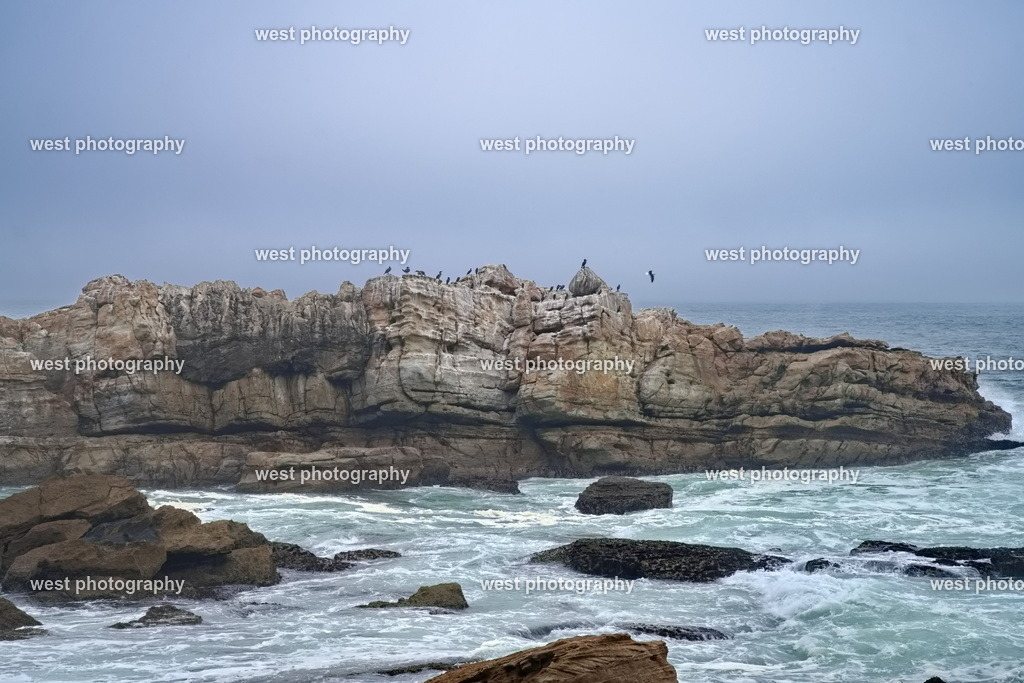 Robberg Rock - RSA 2025 | west photography - Realisiert mit Pictrs.com