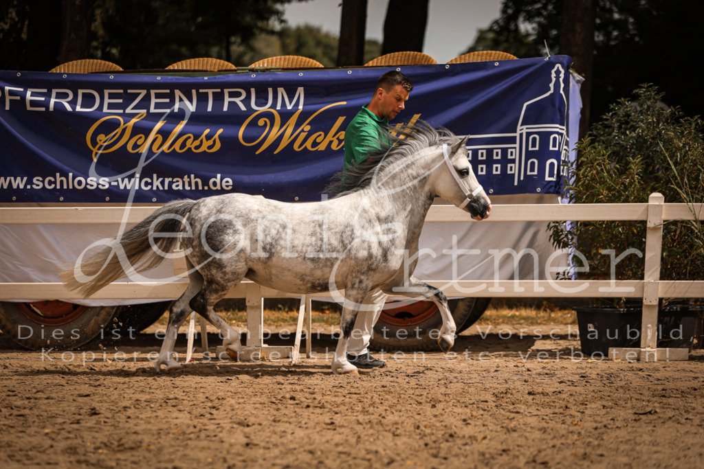 04.So00046 | Leoni Ertmer Photography - Realisiert mit Pictrs.com