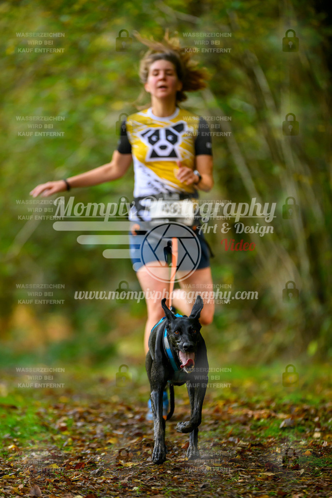 MompixPhotography_20TSB_E1_Run-74 | PayLife
