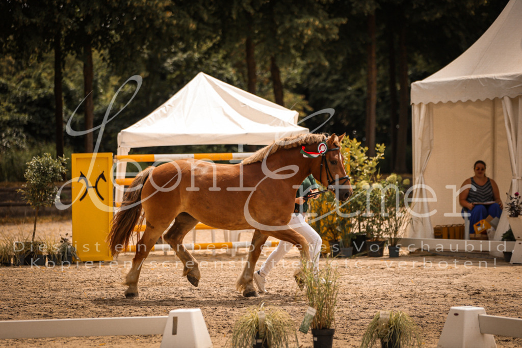 SaSieger00005 | Leoni Ertmer Photography - Realisiert mit Pictrs.com