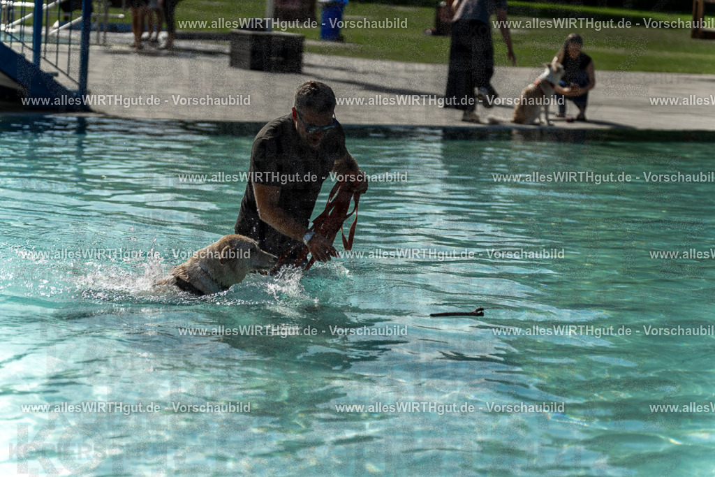 Hundeschwimmen_Volksbad_2026-allesWIRTHgut_Tierfotografie-2609061543-7R501740 | Professionelle Tierfotografie in Mönchengladbach von Daniel Wirth (allesWIRTHgut). Liebevolle & natürliche Bilder von Hunden & Katzen für unvergessliche Erinnerungen.