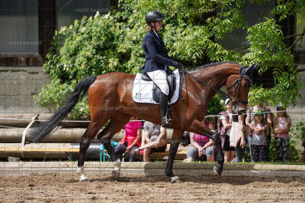 20240519-FAH05258 | Turnierbilder Niederseeon 2024, Vielseitigkeitsdressur, Reitsportbilder aus dem Landkreit Ebersberg, Gut Steinsee, RC Steinsee, Fotoagentur Herrmann