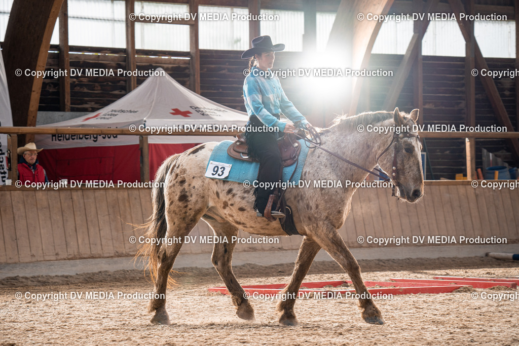 Heidelberg Tag 2-047 | dv-media-shop - Realisiert mit Pictrs.com