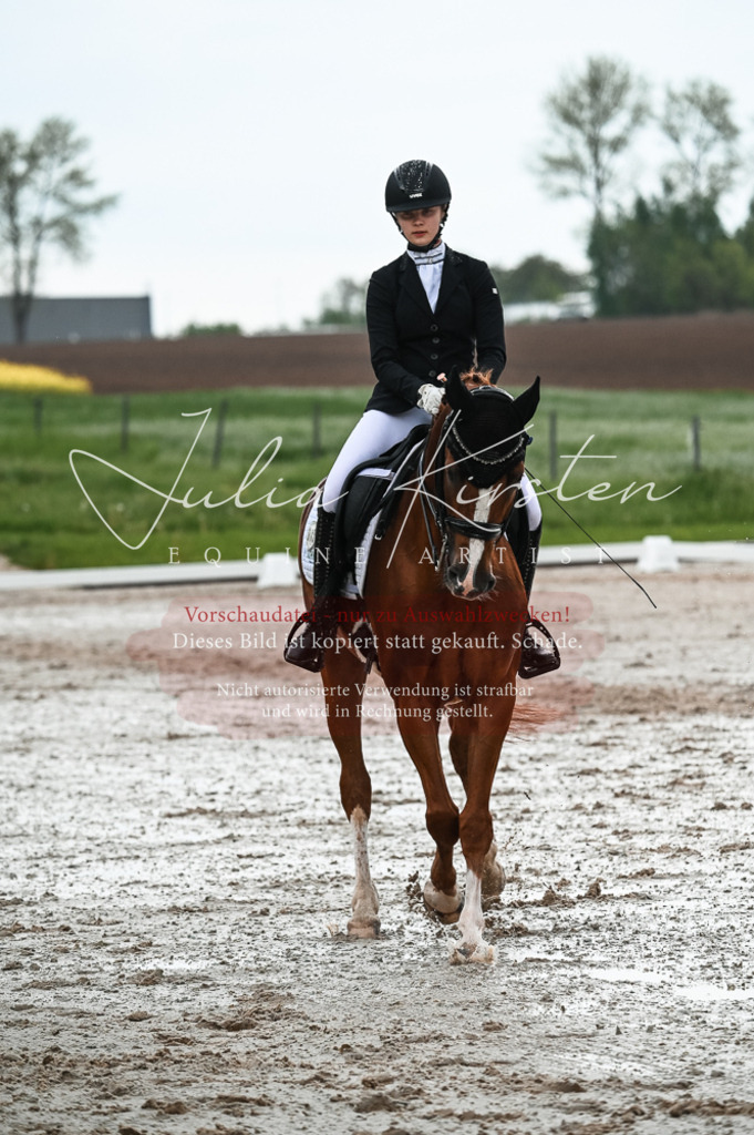 DSC_4277 | Pferde- und Turnierfotografie in Westsachsen. Pferdeportraits, Auftragszeichnungen und intuitive Kunst.