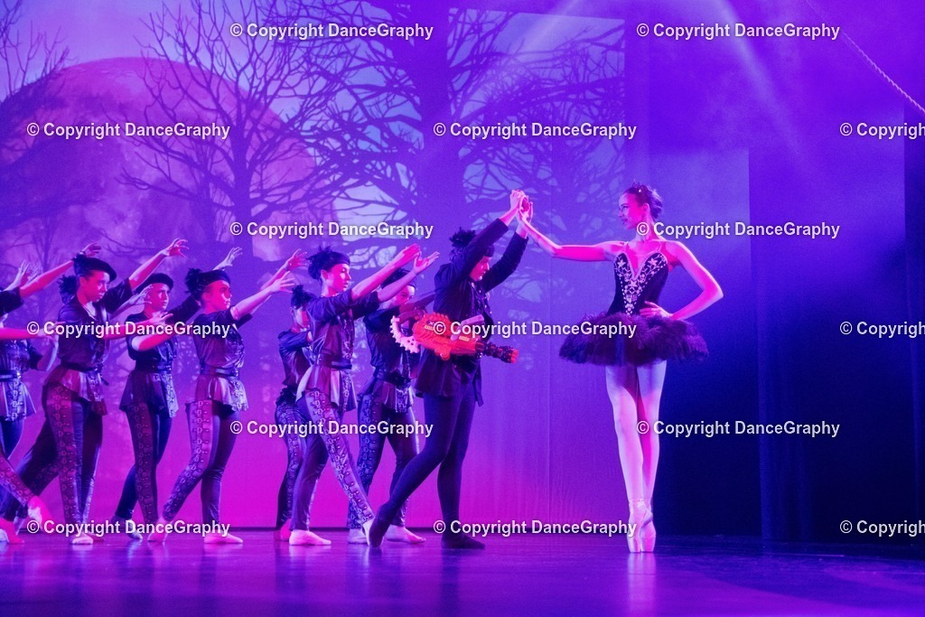 GPHY2813 | DanceGraphy - Realisiert mit Pictrs.com