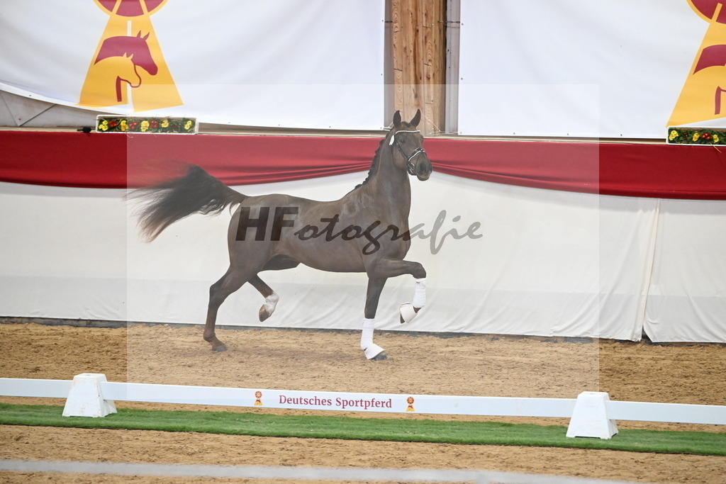 Kat.-Nr. 47 v. Damontez_Pfefferle_2250107 | hf-fotografie - Realisiert mit Pictrs.com