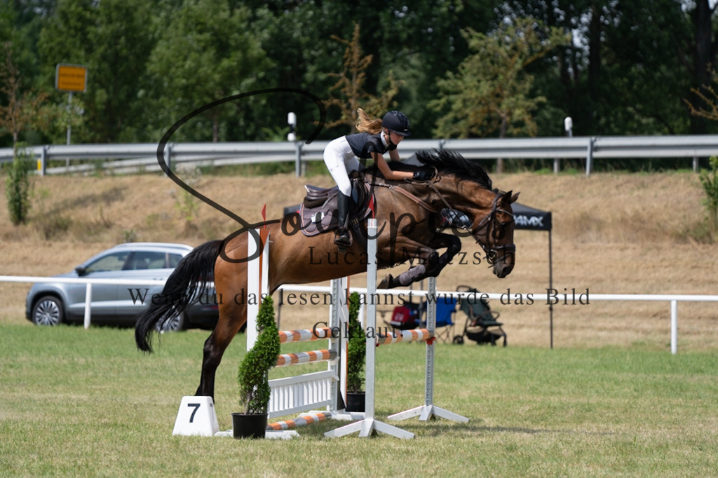 A7V01854 | Pferdefotograf