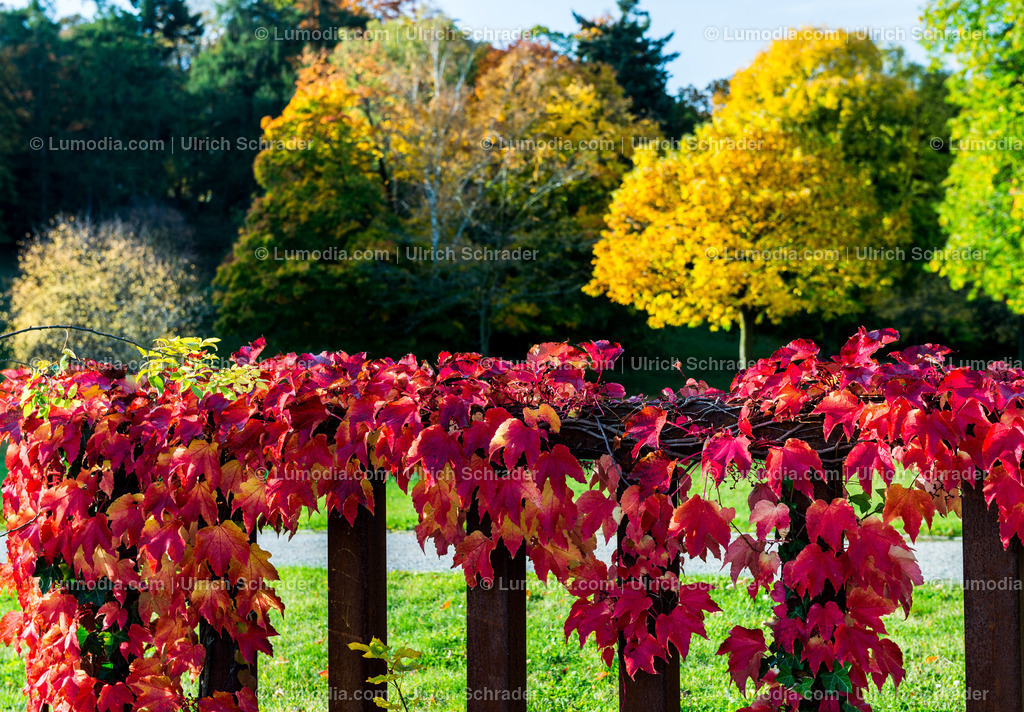 100494-3924 - Barockgarten Blankenburg | max. Bildgröße A2 | 300dpi - Realisiert mit Pictrs.com