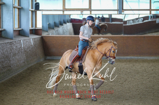 DKP42932 | Turniersportfotografie; Pferdefotografie; Dressurfotografie