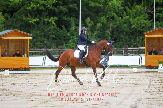 DKP47100 | Turniersportfotografie; Pferdefotografie; Dressurfotografie