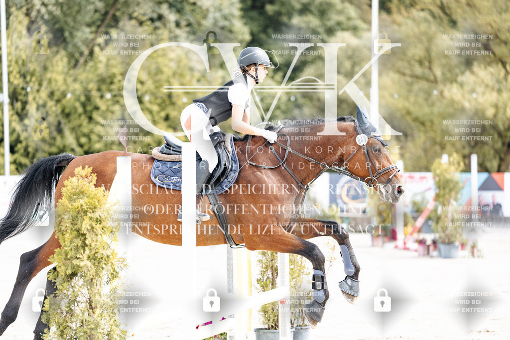 CK906281 | Turnierfotografie Pferdefotografie Trier Rheinland-Pfalz Pferdesport Reitsport Tierfotografie Sportfotografie Pferdevideo Pferdevideografie Equestrianvideography equestrianphotography  - Realisiert mit Pictrs.com