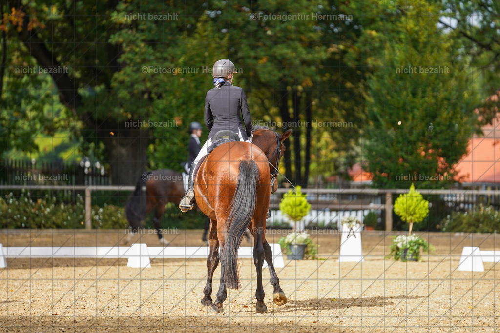 20221007-FAH09934 | Diessen am Ammersee, 2022, Dressur- und Springturnier, Reitsportbilder, Turnierfotografen Bayern, Pferdefotografen, Fotoagentur Herrmann, Turnierbilder