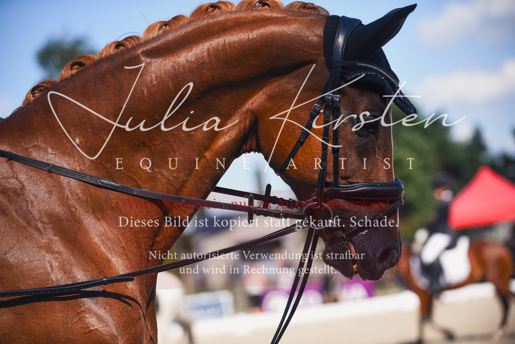 DSC_0085 | Pferde- und Turnierfotografie in Westsachsen. Pferdeportraits, Auftragszeichnungen und intuitive Kunst.