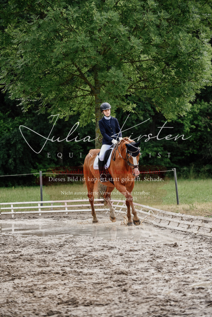 DSC_9968 | Pferde- und Turnierfotografie in Westsachsen. Pferdeportraits, Auftragszeichnungen und intuitive Kunst.