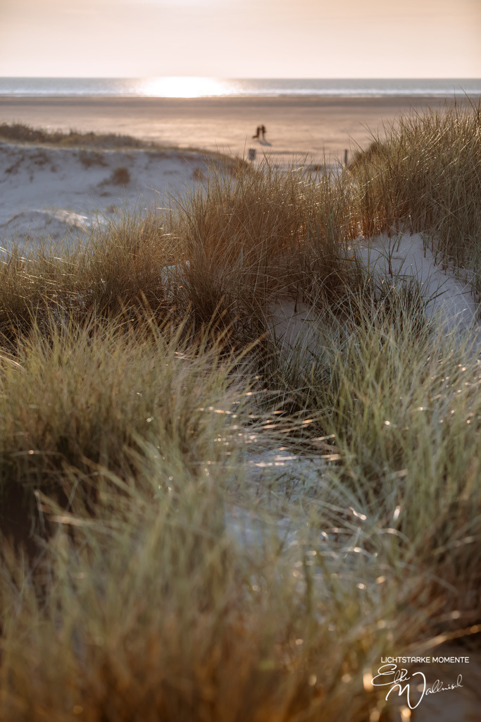 20240508-200646 NORDSEE SPO _325-1 | Herzlich willkommen auf meiner Seite! Ich bin Elke Wallnisch, Deine Fotografin für lichtstarke Momente. Der Name steht für alles, was mich mit der Fotografie verbindet: Das Licht und seine machtvolle Wirkung auf eine Situation oder unsere Stimmung - Realisiert mit Pictrs.com