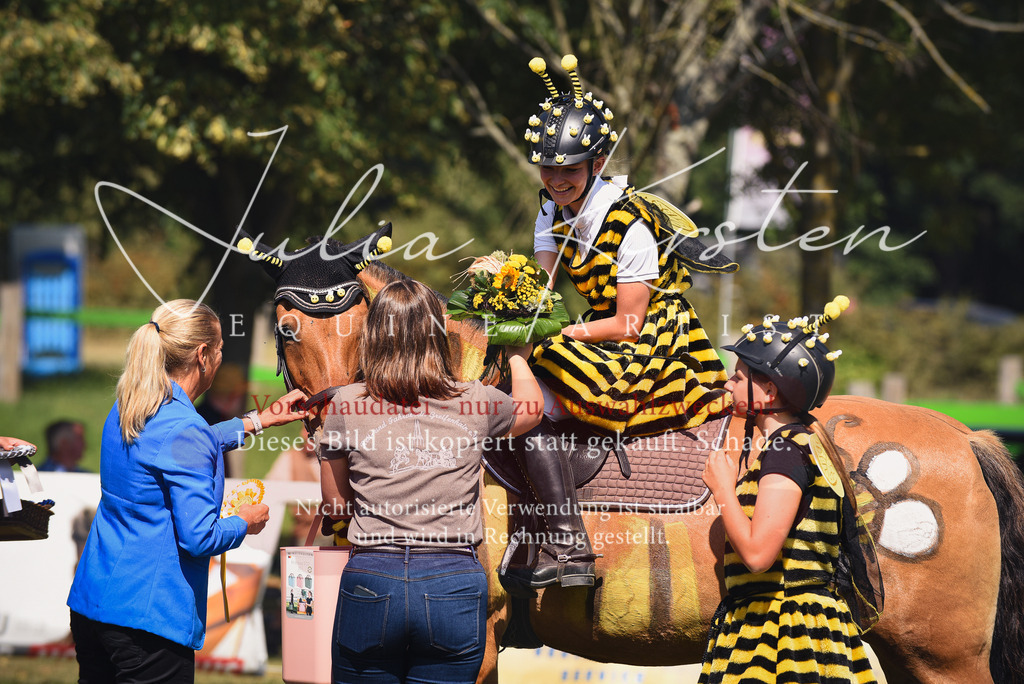 DSC_0443 | Pferde- und Turnierfotografie in Westsachsen. Pferdeportraits, Auftragszeichnungen und intuitive Kunst.