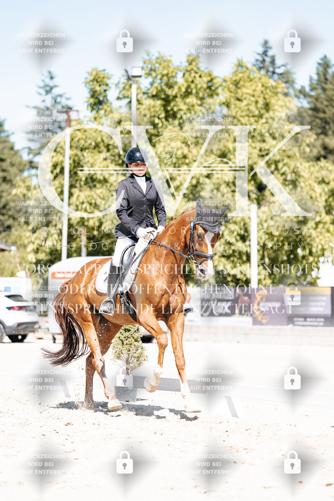 CK900434 | Turnierfotografie Pferdefotografie Trier Rheinland-Pfalz Pferdesport Reitsport Tierfotografie Sportfotografie Pferdevideo Pferdevideografie Equestrianvideography equestrianphotography  - Realisiert mit Pictrs.com