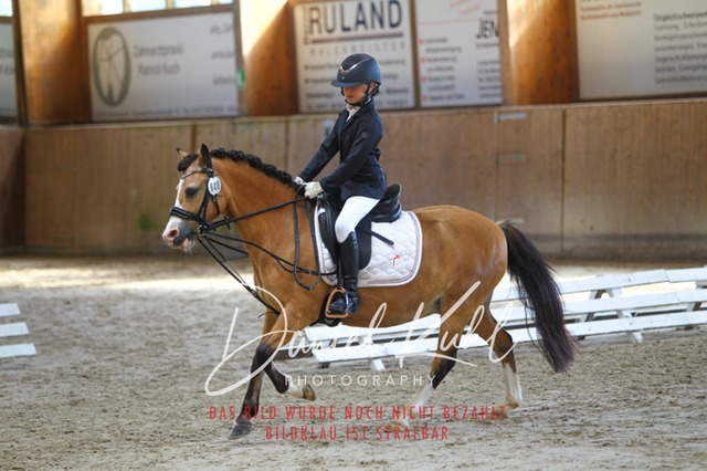 DKP45165 | Turniersportfotografie; Pferdefotografie; Dressurfotografie