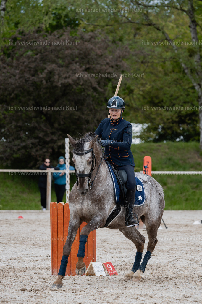 PI26_SP_StoibphotographyC2_C1829.jpg | working equitationturnier fotograf videograf stoibphotography marixx film working equitation deutschland reitsport turnierfotografie eventfotografie equestrian events