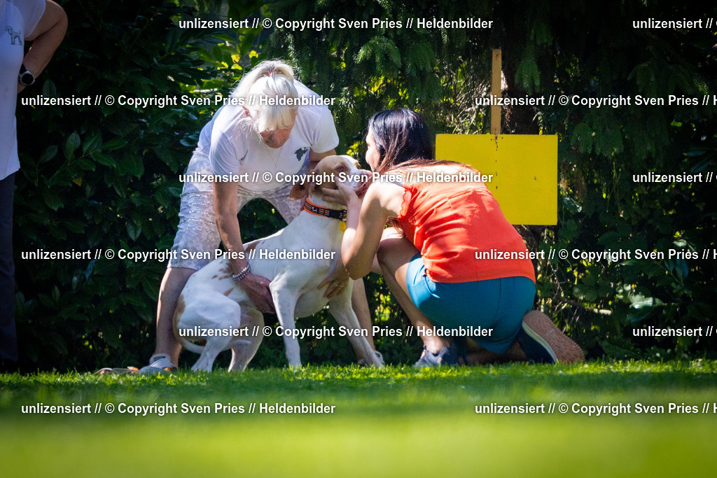 Sven Pries | 2025-08-10 - Hunderennen Durlach - Realisiert mit Pictrs.com