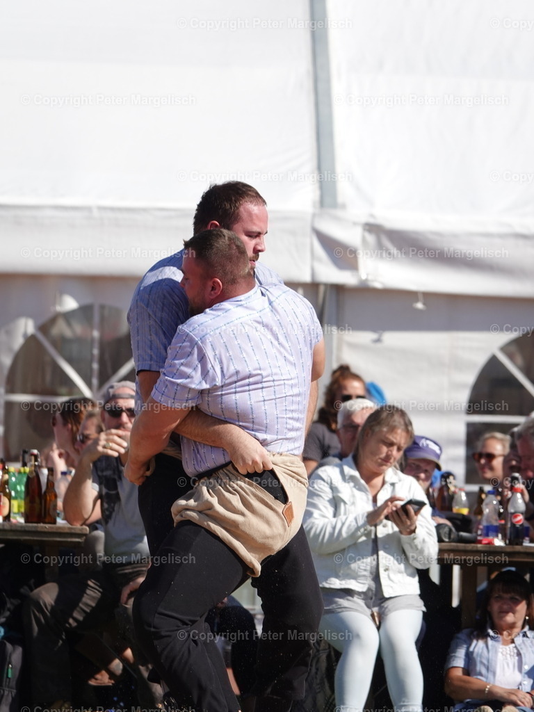 DSC05590 | Schwingen - Realisiert mit Pictrs.com