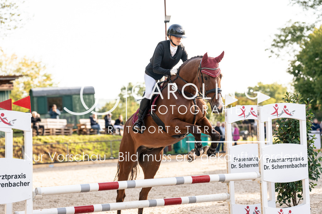 DSC01640 | Carolin Gieschke