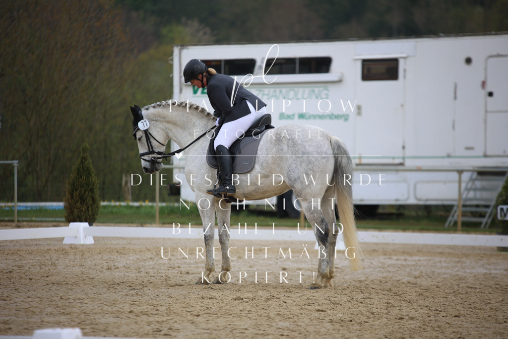 IMGT5867 | pl-fotografie