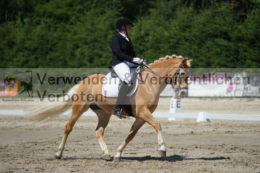 DSC03263 | equestrian-live-com
