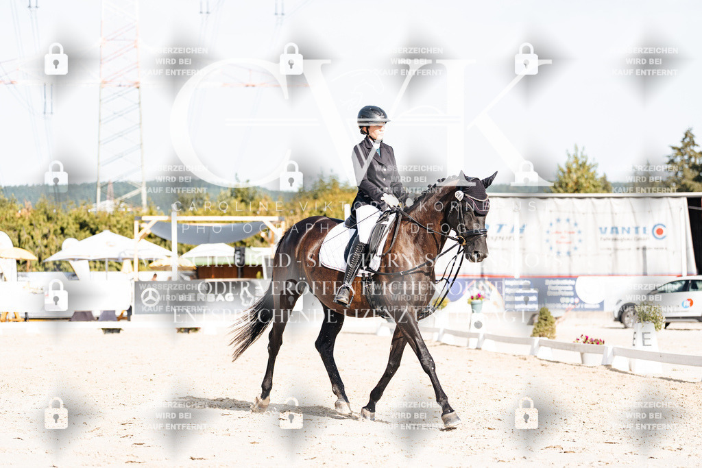 CK905580 | Turnierfotografie Pferdefotografie Trier Rheinland-Pfalz Pferdesport Reitsport Tierfotografie Sportfotografie Pferdevideo Pferdevideografie Equestrianvideography equestrianphotography  - Realisiert mit Pictrs.com