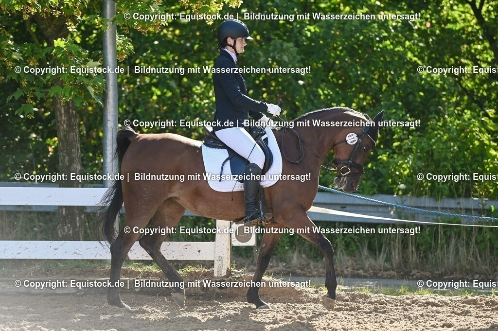 20230716_04_Dressurreiterprüfung Kl.A_0089 | equistock