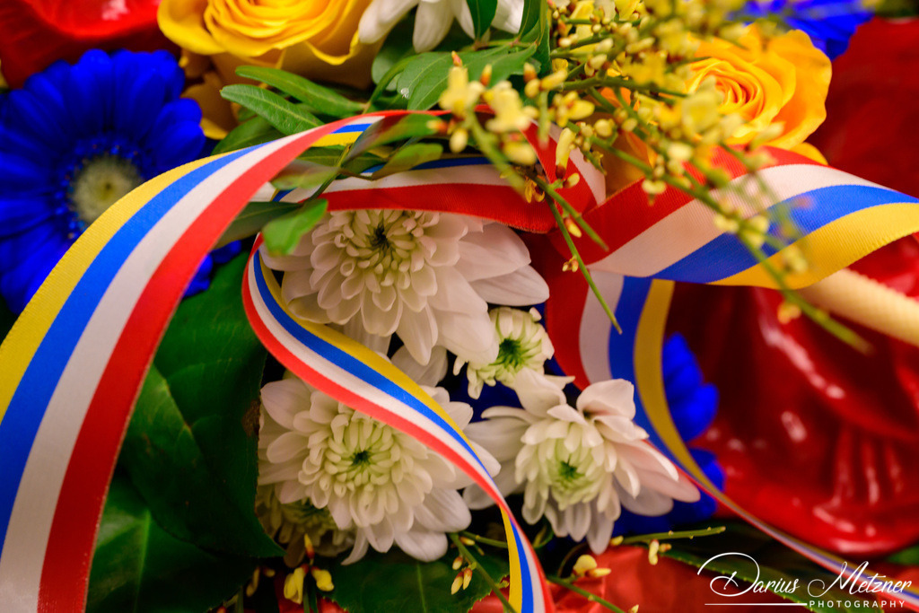 Die Mainzer Fastnacht | Die Mainzer Fastnacht