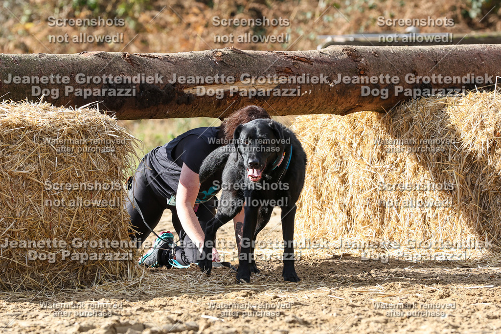 Dog Paparazzi - Strongdog 10-25-5074 | Dog Paparazzi Jeanette Grottendiek Fotografie & Videografie - Realisiert mit Pictrs.com