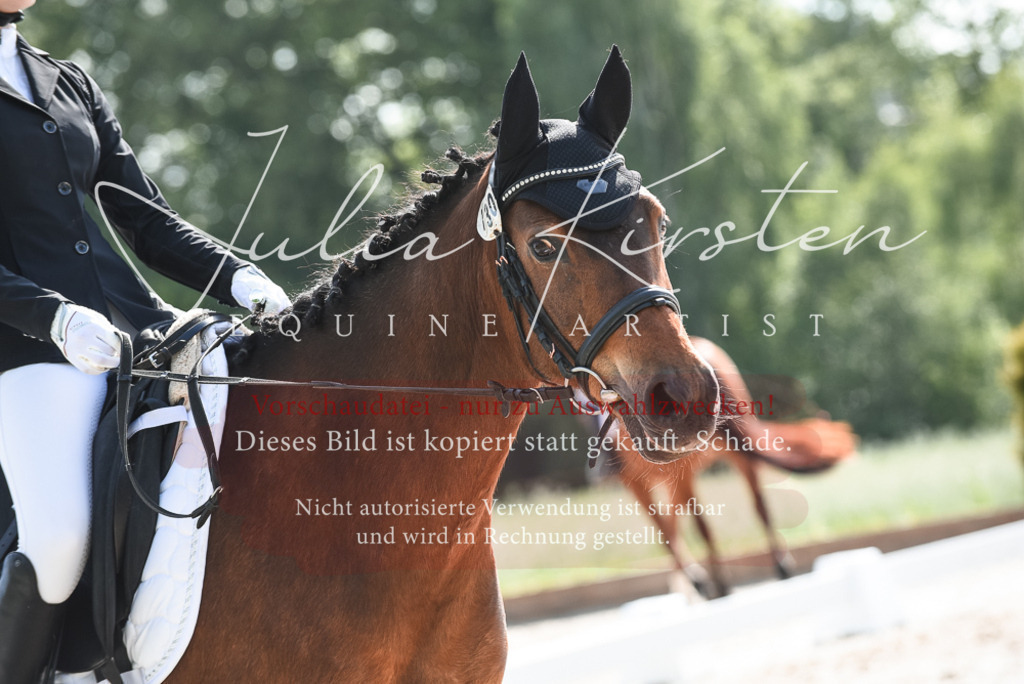 20230518_JK-Röhrsdorf-09-1395 | Pferde- und Turnierfotografie in Westsachsen. Pferdeportraits, Auftragszeichnungen und intuitive Kunst.