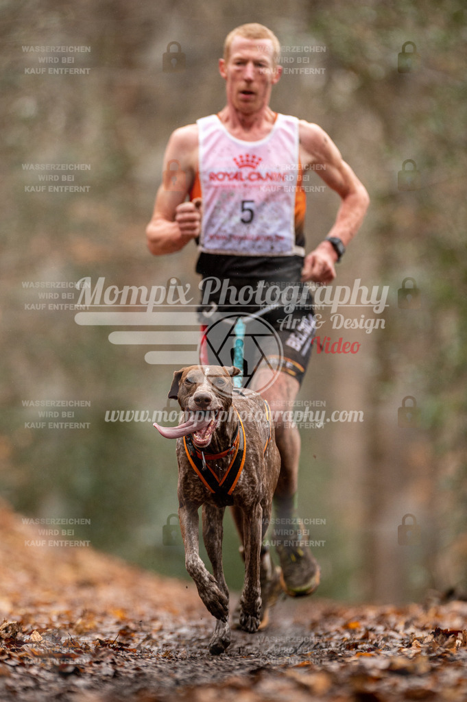 SPA_2023_DIM_CCL-16 | PayLife