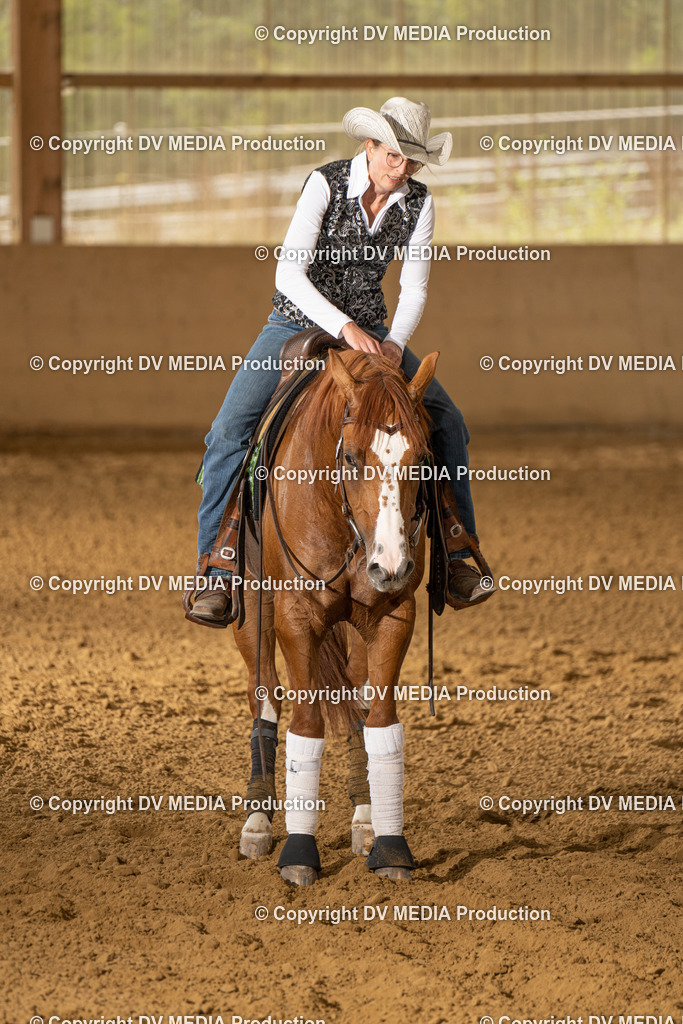 LAU01696 | dv-media-shop - Realisiert mit Pictrs.com