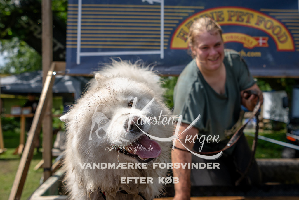 1148_ZZ94996 | kk-dogfotos