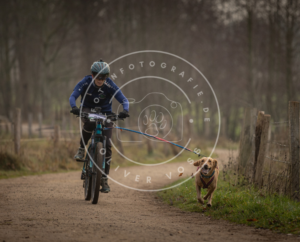 Pfotenfotografie_DV3A1956 | Hundefotografie, Tierfotograf, Pfotenfotografie, Fotoshooting Hund, Hunde Portrait, Hundesport, Hundeportraits, Heideshooting, Hunde, Sportfotograf, Hundefotograf, Turnierhundsport, THS,  - Realisiert mit Pictrs.com