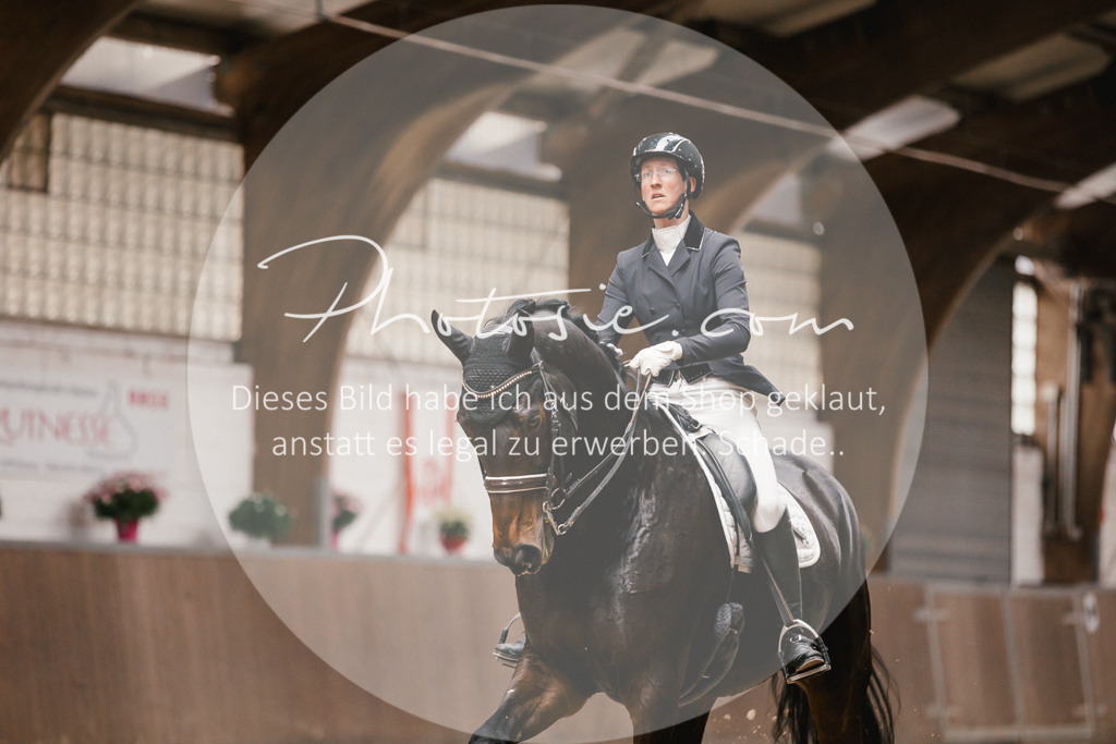 3I6A8269 | Stimmungsvolle Portraits und Reitsportfotografie im Ruhrgebiet und im Münsterland.

Pferdefotografie, Hundefotografie, Tierfotografie, Reportagen, Portraits von Tier und Mensch, Turnierfotografie in Bochum, Recklinghausen, Marl, Haltern am See, Dülmen.. - Realisiert mit Pictrs.com